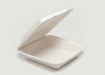 Clam Tray Sugar Cane 20x21cm, Carton 200 - Vegware